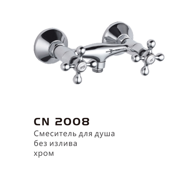CN2008(图1)