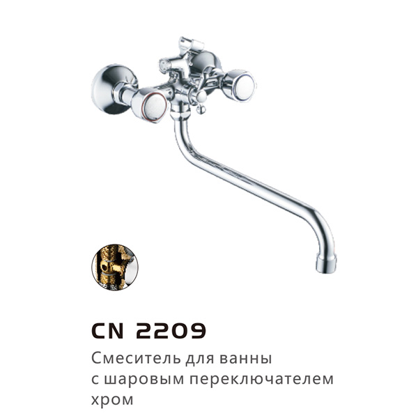 CN2209(图1)