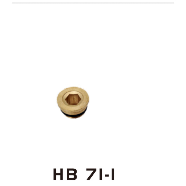 HB71-1(图1)