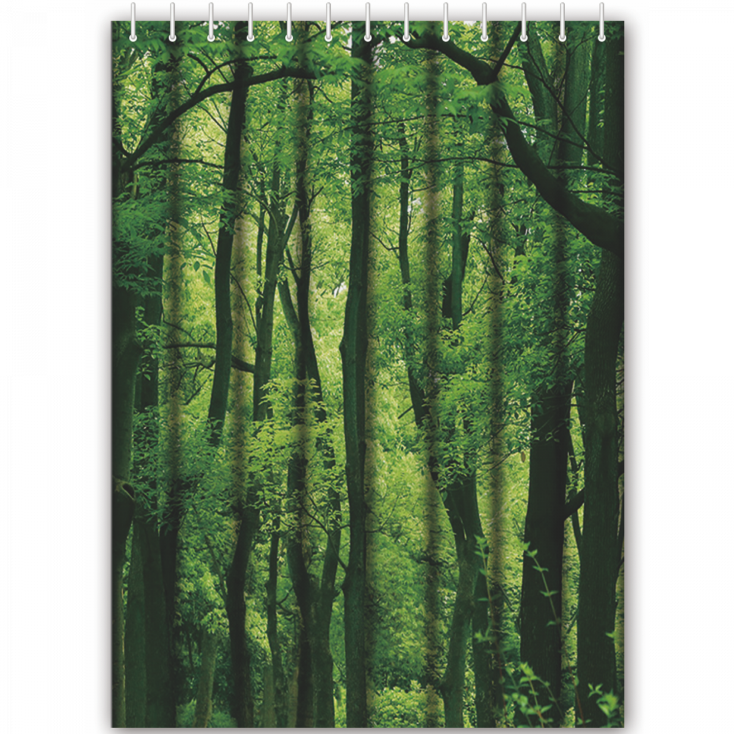 HB74060 Штора для ванной комнаты (полиэстер, 180*180 см., с кольцами в комплекте)